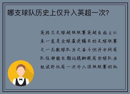 哪支球队历史上仅升入英超一次？